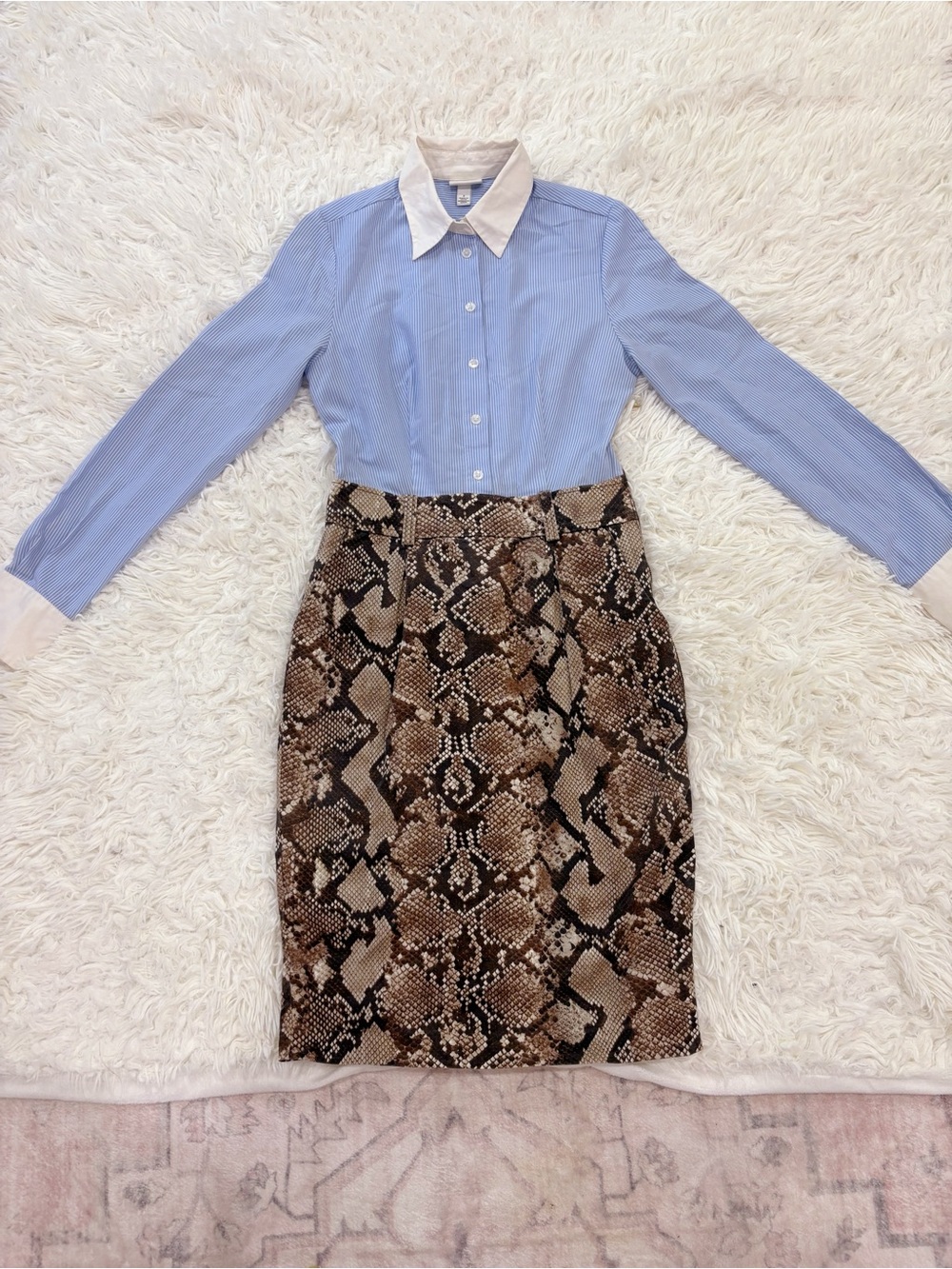 Snake Print Pencil Skirt and Blue Striped shirt (Dress)